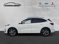 Gebraucht Ford Kuga ST-Line 186 PS (136 kW) 2026 Weiß SUV