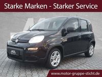 Gebraucht Fiat Panda S 69 PS (50 kW) 2024 Cinema schwarz Kleinwagen