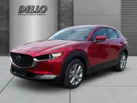 Gebraucht Mazda CX-30 Selection 150 PS (110 kW) 2023 Rot SUV