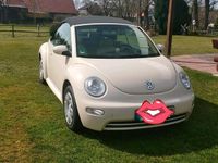 Gebraucht VW New Beetle Cabriolet 101 PS (74 kW) 2003 Beige Cabrio