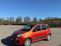 Gebraucht Fiat Panda 69 PS (50 kW) 2012 Orange Kleinwagen