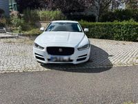 Gebraucht Jaguar XE 185 PS (136 kW) 2019 Weiß Limousine