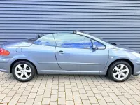 Gebraucht Peugeot 307 CC 109 PS (80 kW) 2006 Gris fer Cabrio