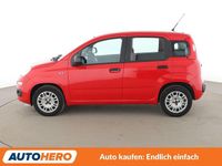 Gebraucht Fiat Panda Easy 69 PS (50 kW) 2020 Rot Kleinwagen
