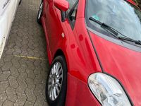 Gebraucht Fiat Punto 2009 Rot Kleinwagen