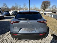 Gebraucht Mazda CX-30 Selection 150 PS (110 kW) 2022 SUV