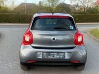 Usata Smart ForFour Basis 71 CV (52 kW) 2016 Grigio Utilitaria