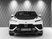 gebraucht Lamborghini Urus Performante 2024 WHITE/RED CARBON HOOD FULL