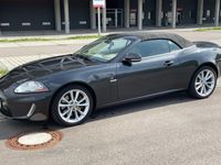 gebraucht Jaguar XK 5.0 V8Cabrio