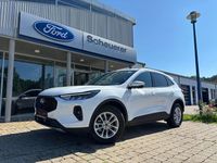 Gebraucht Ford Kuga Titanium 186 PS (136 kW) 2024 Frostweiß SUV