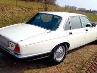 Gebraucht Jaguar XJ 295 PS (216 kW) 1984 Weiß Limousine