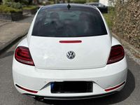 Gebraucht VW Beetle Allstar 110 PS (80 kW) 2017 Weiß Kleinwagen