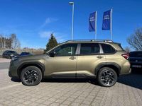Neu Subaru Forester Active 136 PS (100 kW) 2026 Autumn green SUV