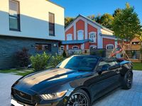 Gebraucht Ford Mustang 421 PS (309 kW) 2017 Schwarz Cabrio