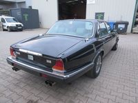 gebraucht Jaguar XJ12 