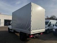 Neu Ford Transit 165 PS (121 kW) 2026 Frost weiß