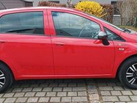Gebraucht Fiat Punto Young 69 PS (50 kW) 2015 Rot Kleinwagen