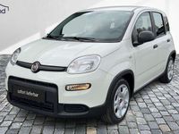 Gebraucht Fiat Panda 69 PS (50 kW) 2024 Weiss / gelatoweiss Kleinwagen