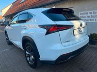 Gebraucht Lexus NX300h Sport Line 155 PS (114 kW) 2018 Weiß SUV