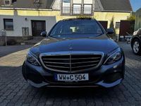 Gebraucht Mercedes C300 Exclusive 245 PS (180 kW) 2016 Grau Kombi