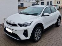 Gebraucht Kia Stonic Vision 84 PS (61 kW) 2024 Weiß SUV