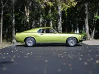 Occasion Ford Mustang Fastback 254 ch (186 kW) 1970 Vert Cabriolet