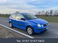 Gebraucht VW Polo 64 PS (47 kW) 2002 Blau Kleinwagen