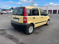 Gebraucht Fiat Panda Active 54 PS (39 kW) 2009 Gelb Kleinwagen