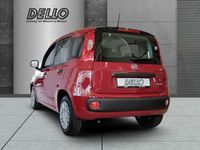 Neu Fiat Panda Icon 65 PS (47 kW) 2026 Rot Kleinwagen