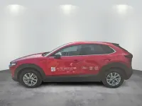 Gebraucht Mazda CX-30 Homura-Line 140 PS (102 kW) 2025 Rot SUV