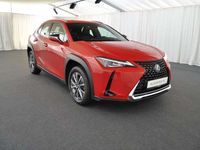 gebraucht Lexus UX 300e 300e Komfort-Paket LED/CAR-PLAY/KAMERA/17