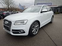 Gebraucht Audi SQ5 Competition 326 PS (239 kW) 2017 Weiß SUV