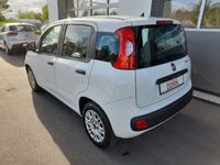 gebraucht Fiat Panda Easy 1.2 LPG Klimaanlage Tagfahrlicht Radio uvm.