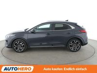 Gebraucht Kia XCeed Black Xdition 204 PS (150 kW) 2022 Grau SUV