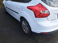 Usata Ford Focus 125 CV (91 kW) 2013 Bianco Berlina