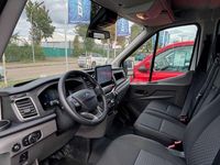 Neu Ford Transit Trend 131 PS (96 kW) 2025 Frostweiß Van / Kleinbus