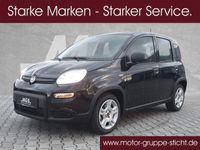 gebraucht Fiat Panda # # #