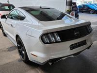 Gebraucht Ford Mustang GT 421 PS (309 kW) 2017 Weiß Coupé