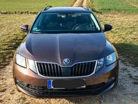 Gebraucht Skoda Octavia Drive 150 PS (110 kW) 2017 Braun Kombi