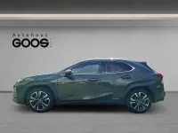 Gebraucht Lexus UX 250h 184 PS (135 kW) 2023 Grün SUV