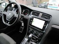 gebraucht VW Golf Alltrack Variant 2.0 TDI 4Motion SCR DSG