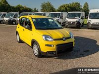 Gebraucht Fiat Panda 69 PS (50 kW) 2024 Gelb Limousine
