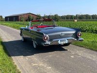 Gebraucht Ford Thunderbird 245 PS (180 kW) 1957 Grau Cabrio
