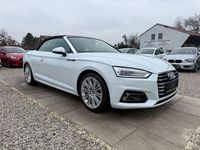Gebraucht Audi A5 Cabriolet Design 150 PS (110 kW) 2019 Gletscherweiss Cabrio