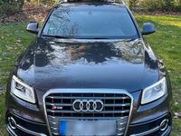 Gebraucht Audi SQ5 Competition 313 PS (230 kW) 2014 Schwarz SUV