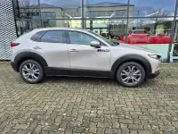 Gebraucht Mazda CX-30 Exclusive-Line 140 PS (102 kW) 2025 Grau SUV