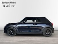 Gebraucht Mini Cooper Cabriolet Classic 136 PS (100 kW) 2023 Blau Cabrio