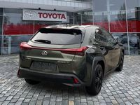 Gebraucht Lexus UX 184 PS (135 kW) 2023 Andere SUV