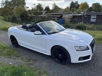 Gebraucht Audi S5 333 PS (244 kW) 2010 Weiß Coupé