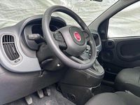 Neu Fiat Panda 69 PS (50 kW) 2025 Blau Kleinwagen